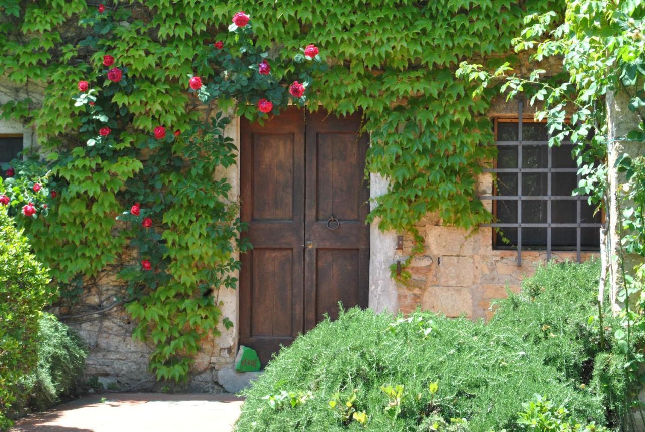 Fattoria Casa Sola Guest House Barberino Val d'Elsa Luaran gambar