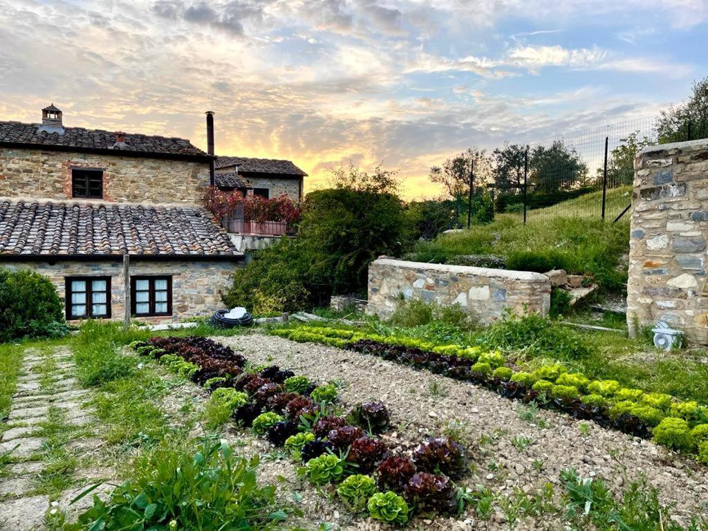 Fattoria Casa Sola Guest House Barberino Val d'Elsa Luaran gambar