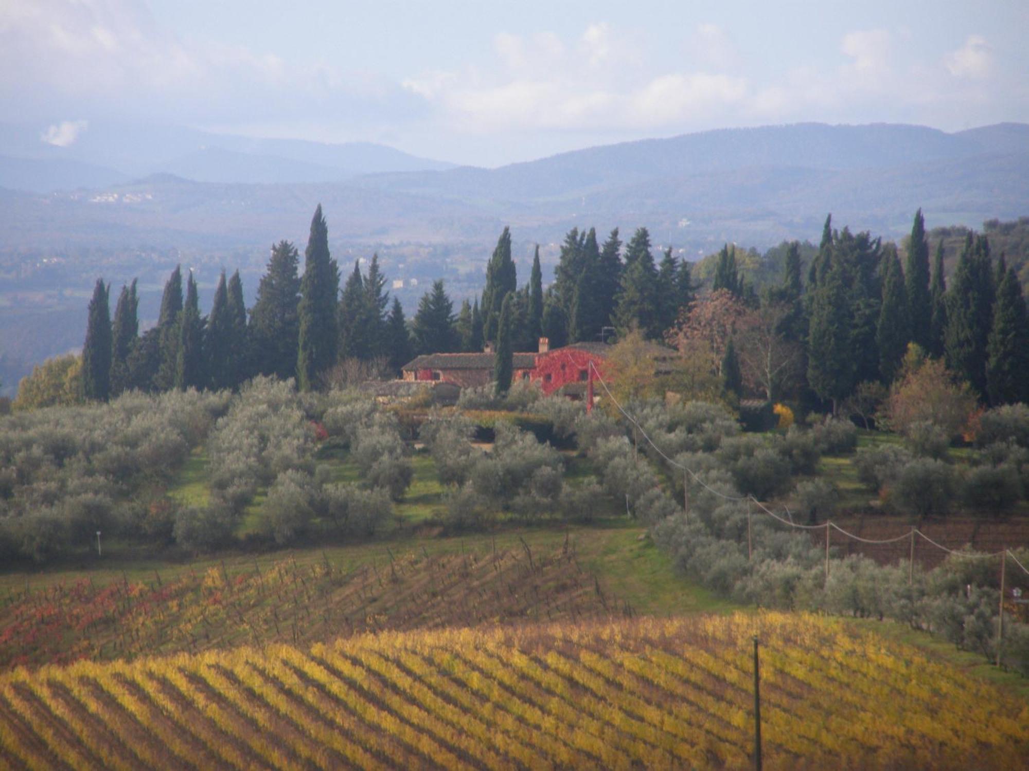 Fattoria Casa Sola Guest House Barberino Val d'Elsa Luaran gambar