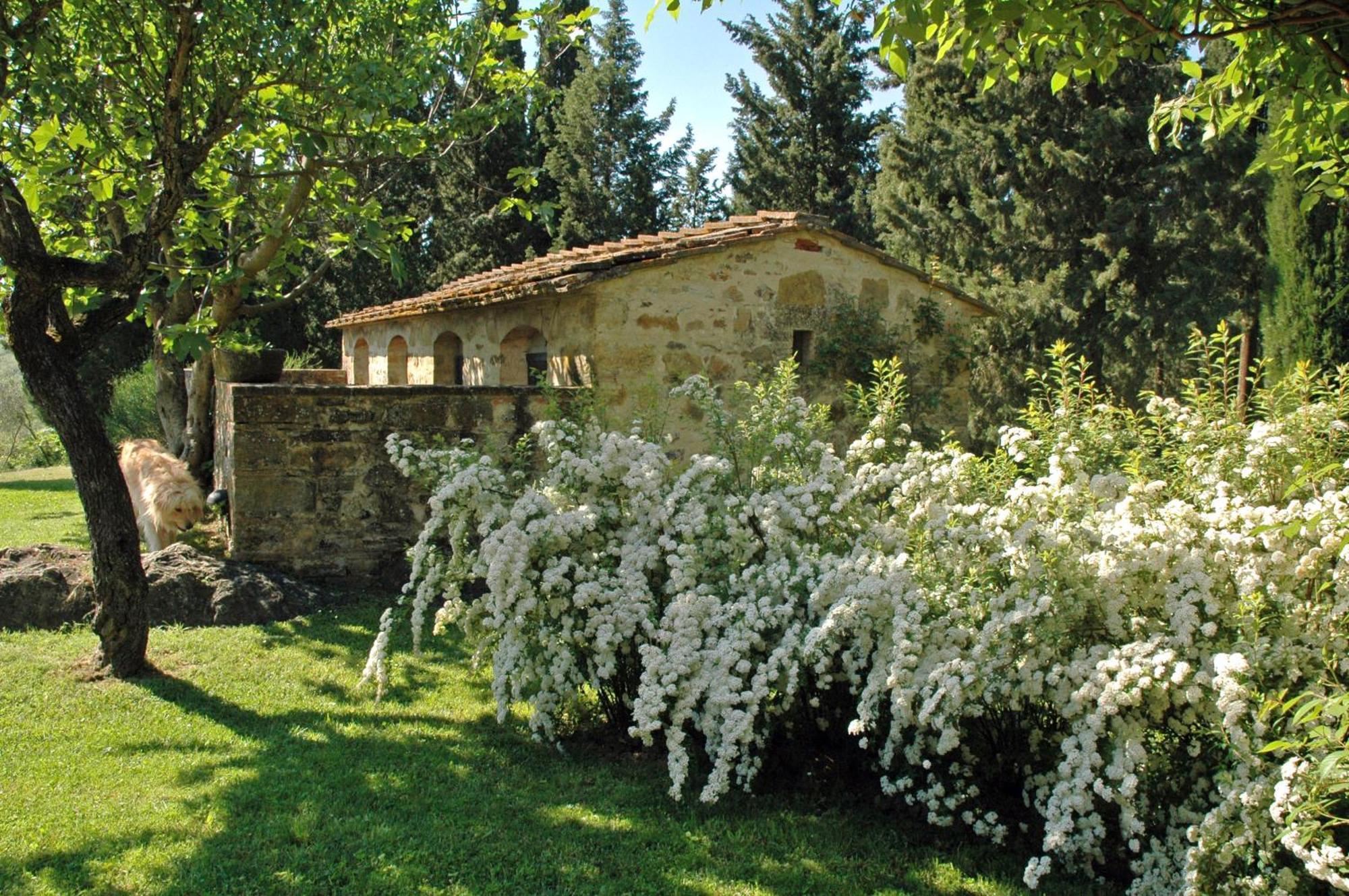 Fattoria Casa Sola Guest House Barberino Val d'Elsa Bilik gambar